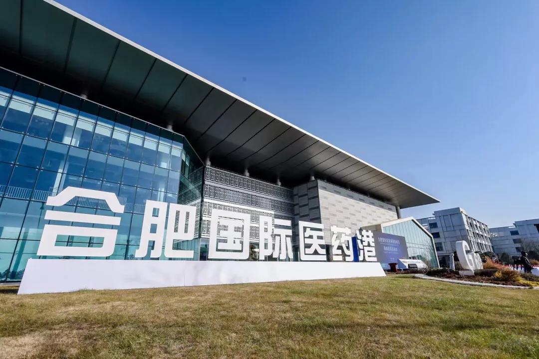 合肥肥东县长临河科创小镇-2